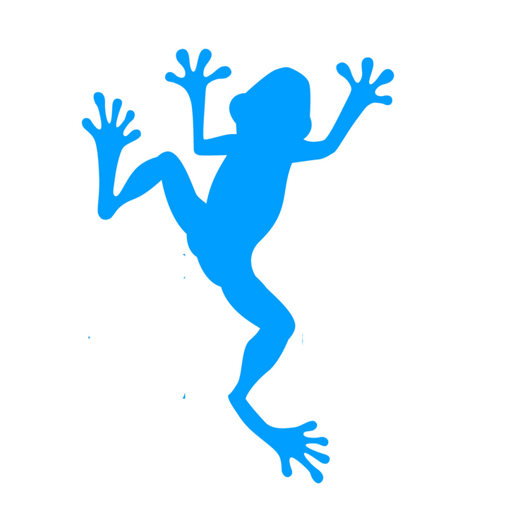 BLUE FROG MEDIA